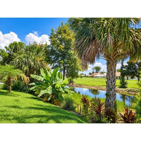 Pond view form patio