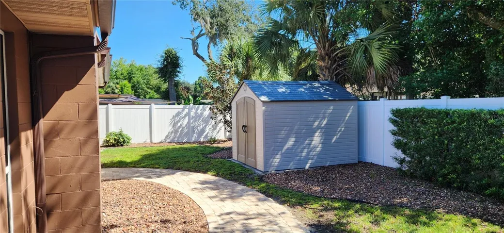 Back yard