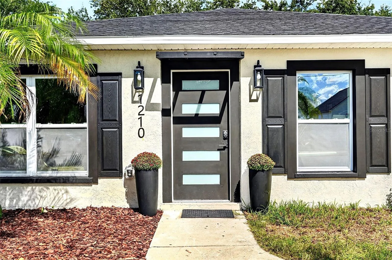 Modern front door - horizontal glass panels