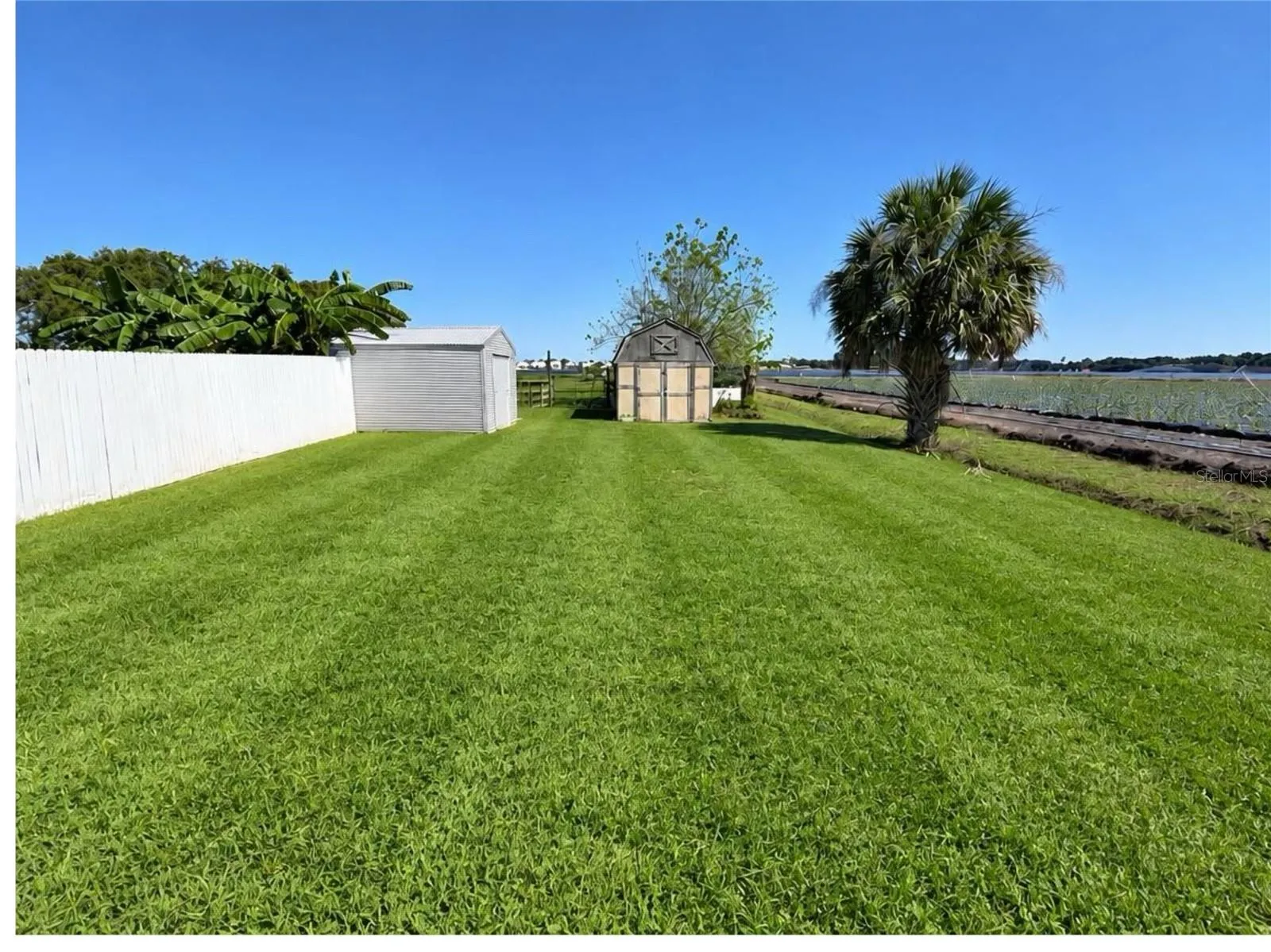 Backyard/Sheds
