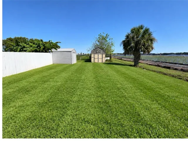 Backyard/Sheds