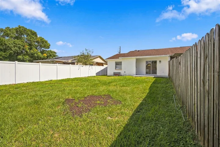 Backyard