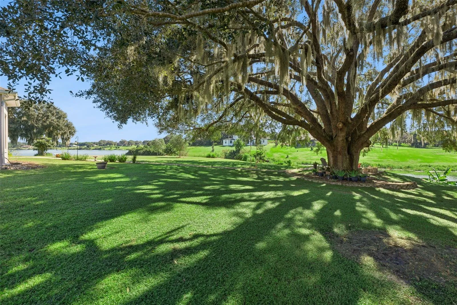 Extensive pavers were added along with a sitting area under this water side oak tree
