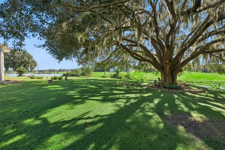 Extensive pavers were added along with a sitting area under this water side oak tree