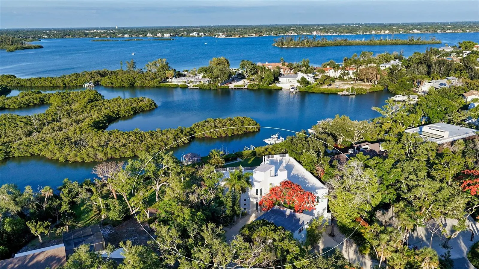 aerial view
