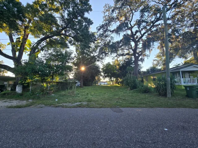 View of the property from Thonotosassa Av