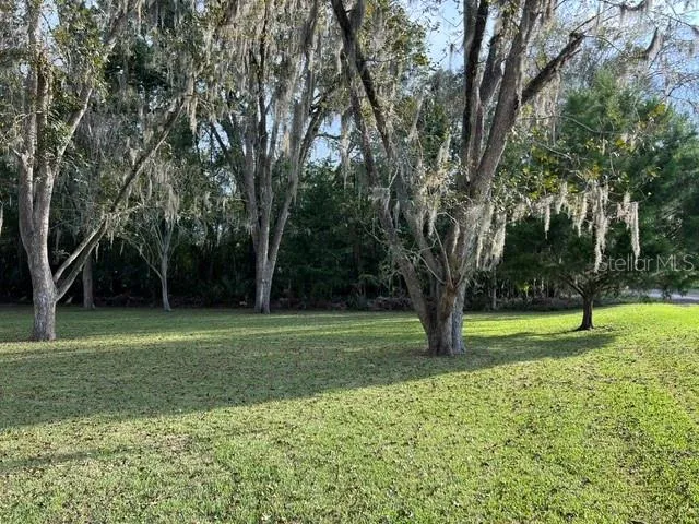 Love these trees!