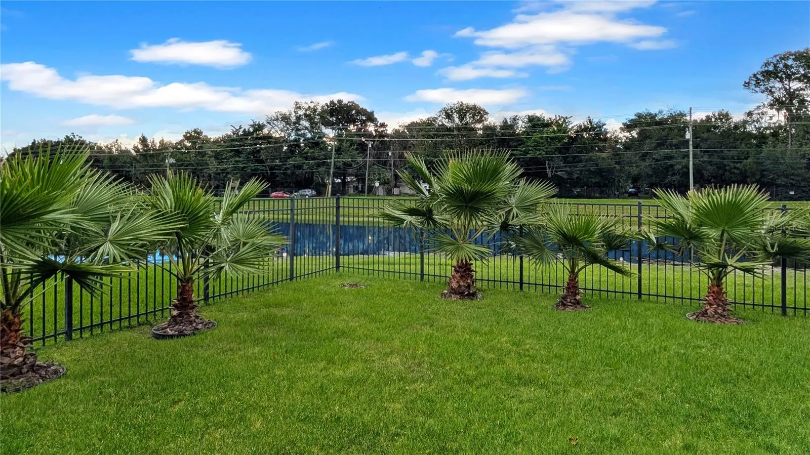 View from your Backporch! This WATERFRONT Retreat is so Private, You Will not be able to See ANY Neighbors from Your SCREENED Back Porch…You will only see Thousands of Dollars in Gorgeous Palm Trees, and beyond that just Water Views and Wildlife!