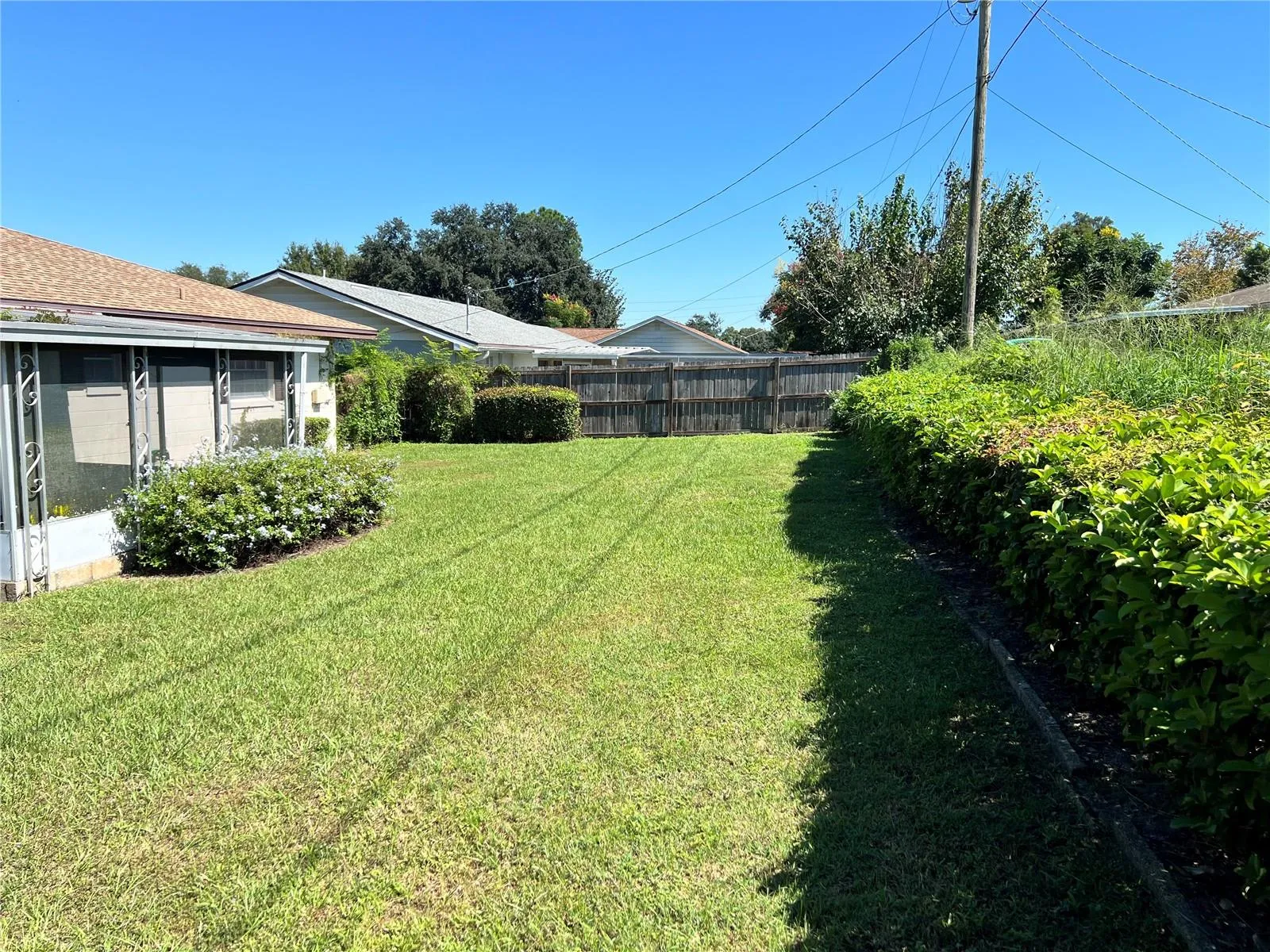 Back yard