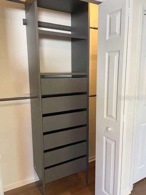 organizer closet in primary bedroom closet