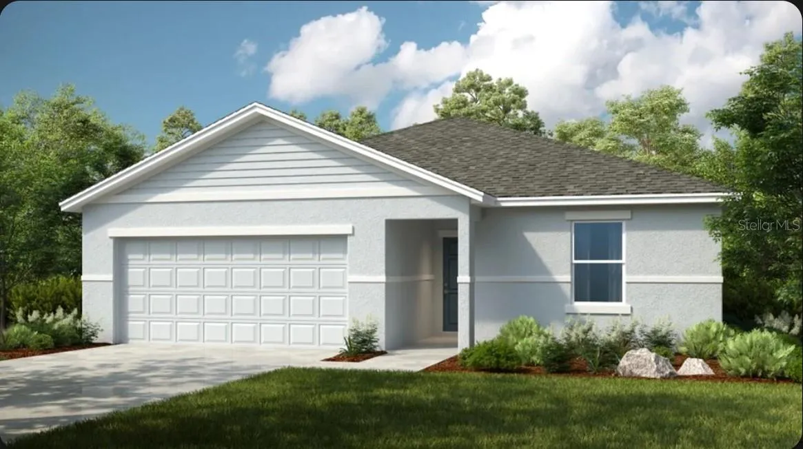 Hawk Rendering