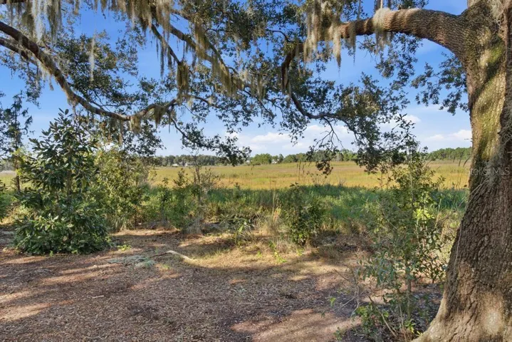 Water view from back of home of Little Lake Everglades!