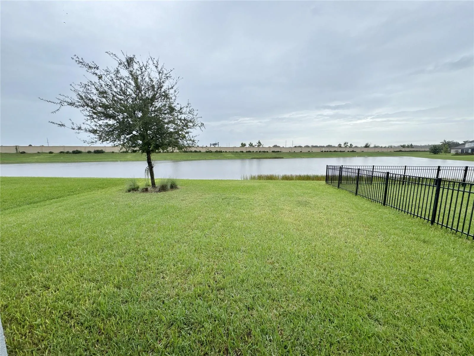 yard and pond view