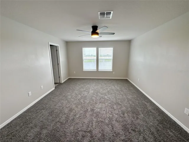 alternate view of primary