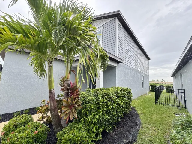 side view