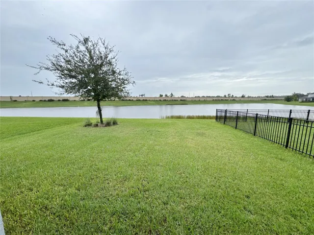 yard and pond view