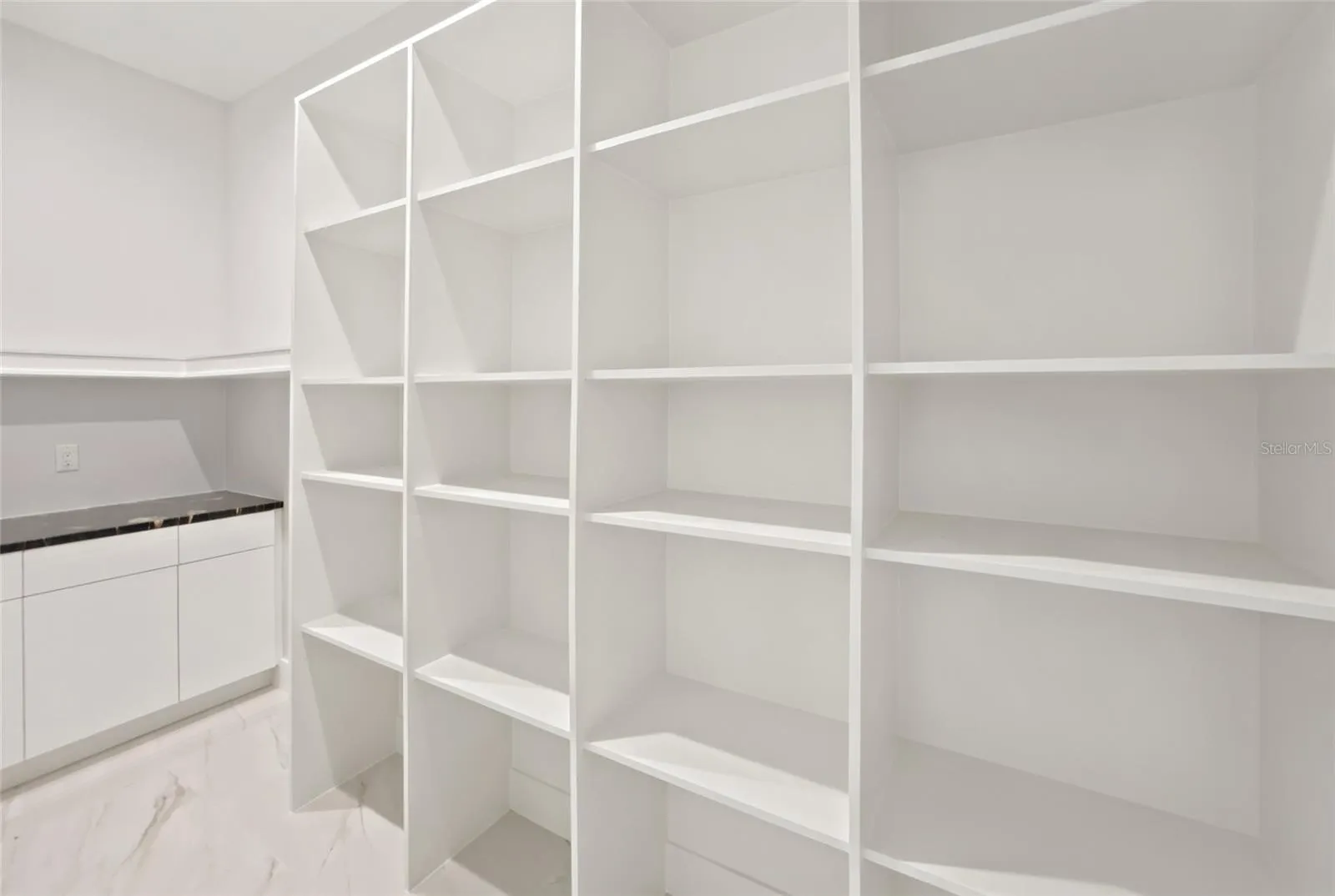 Hidden Walk-in Pantry