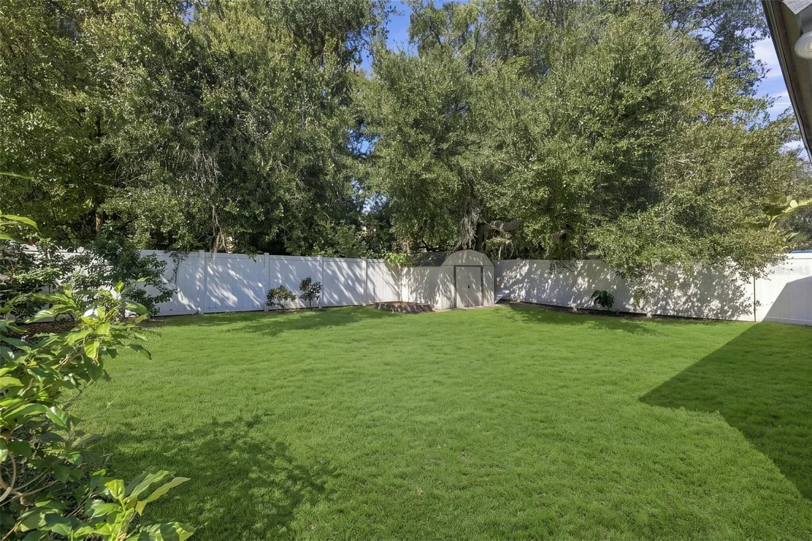virtually enhanced grass