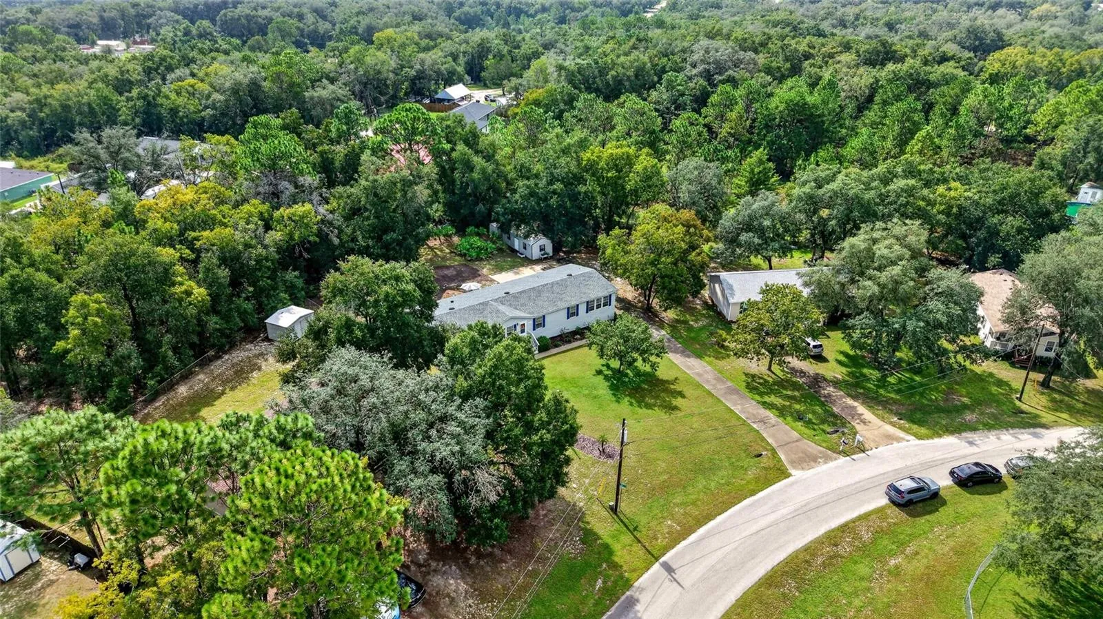 Oversized lot/wooded yard