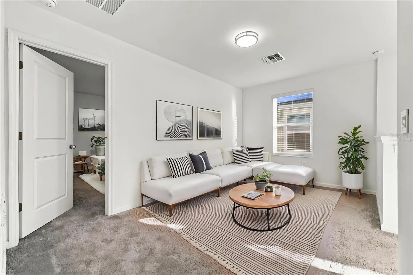 Bonus Room - Virtually Staged