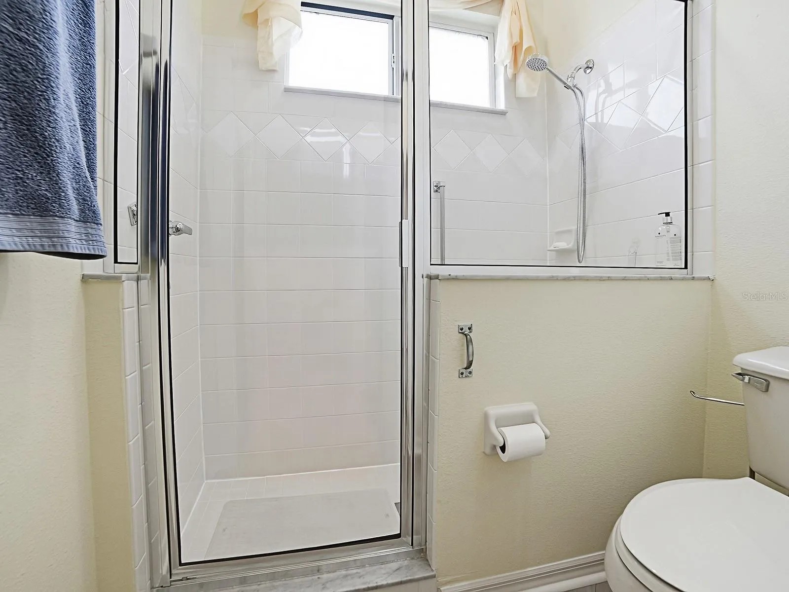 Walk in Shower in Guest bathroom