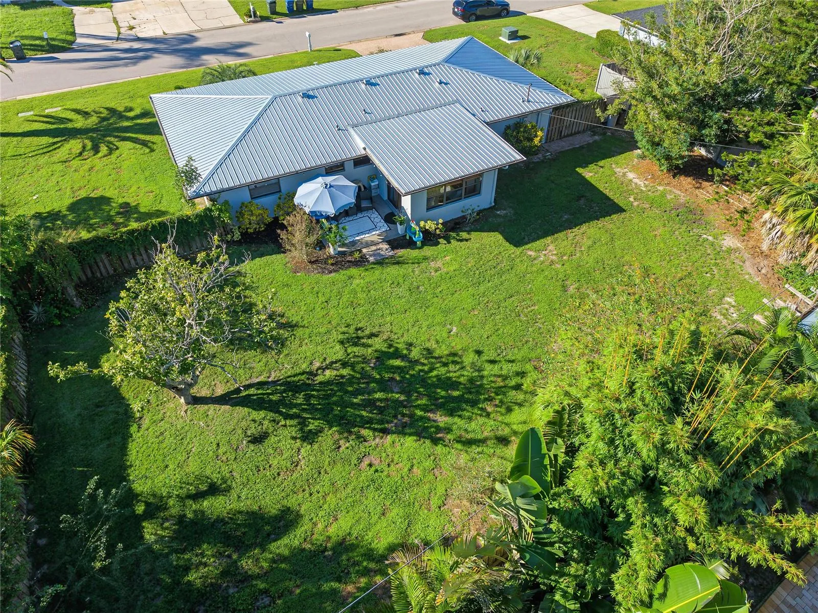 Spacious Backyard