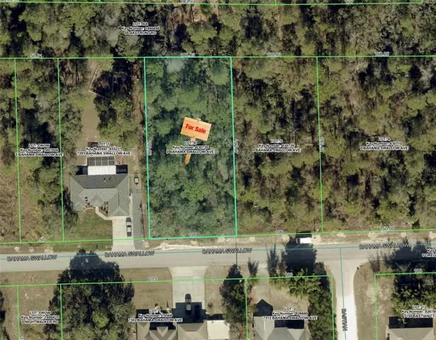 Aerial View of Property