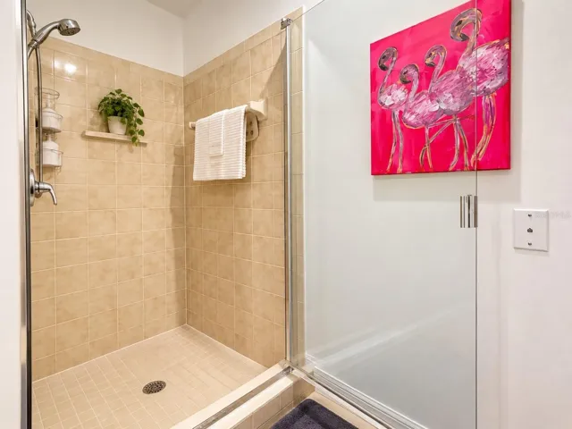 Primary Shower