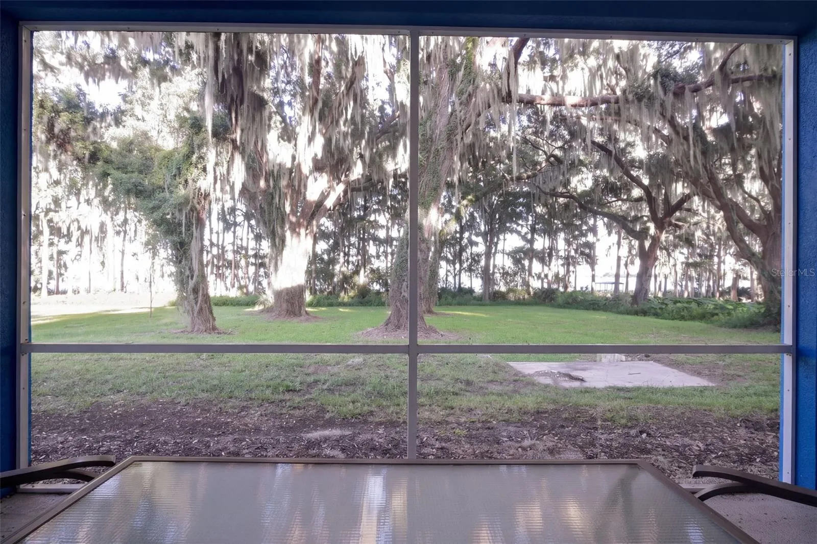 Porch view to the oaks and Lake Harris: sunrise every morning