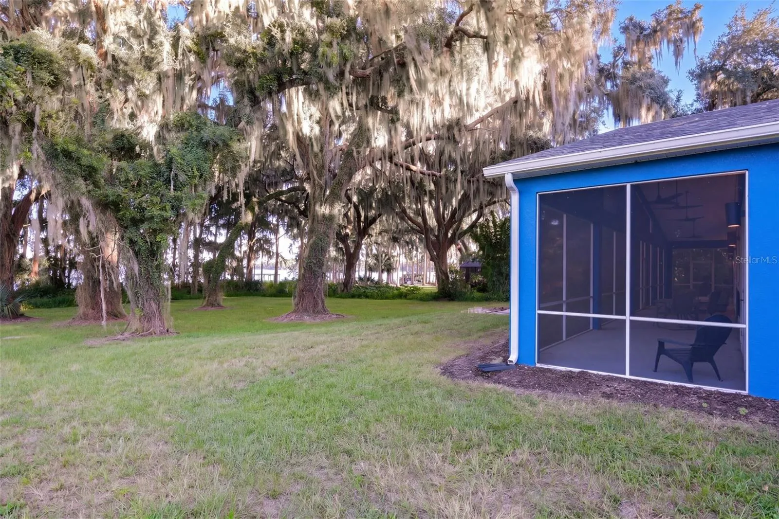 Backyard shaded by giant moss-draped live oaks