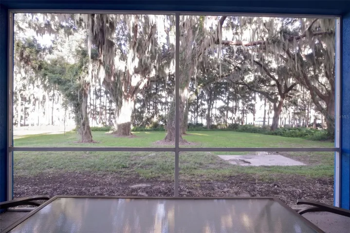 Porch view to the oaks and Lake Harris: sunrise every morning
