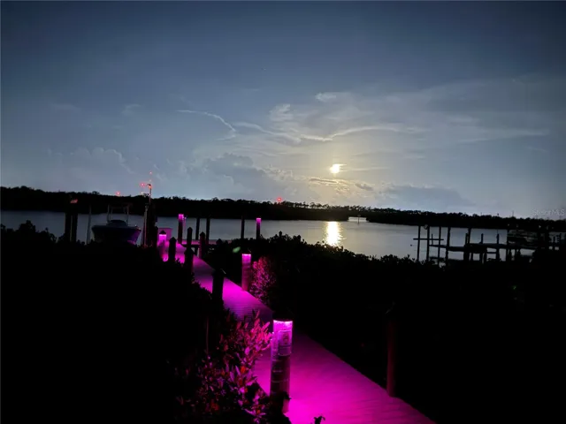 Multicolor Dock Lights
