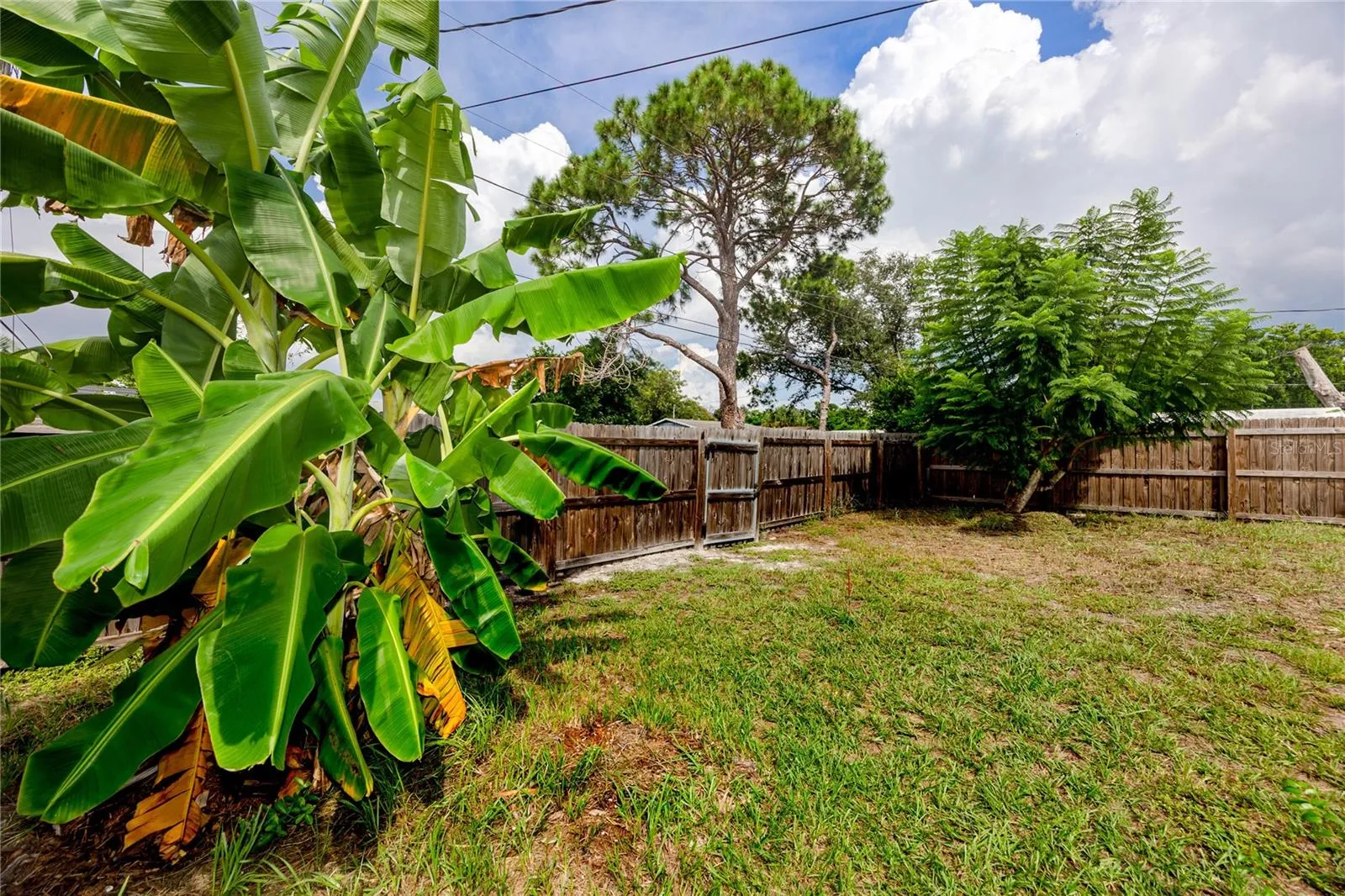 Backyard with back alley access