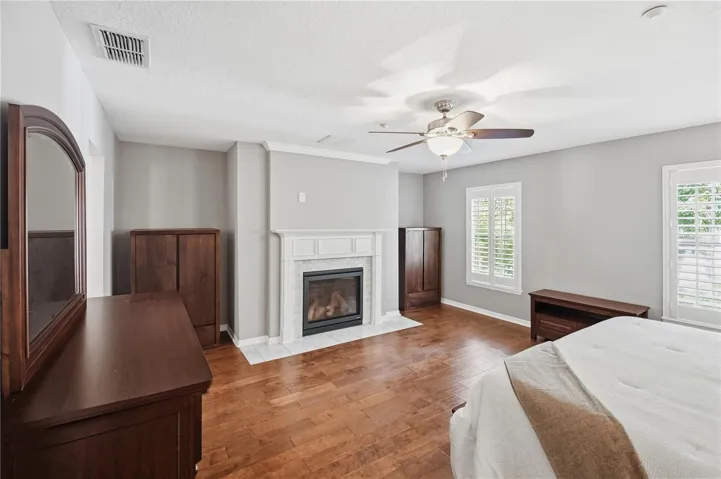 Master Bedroom Fireplace