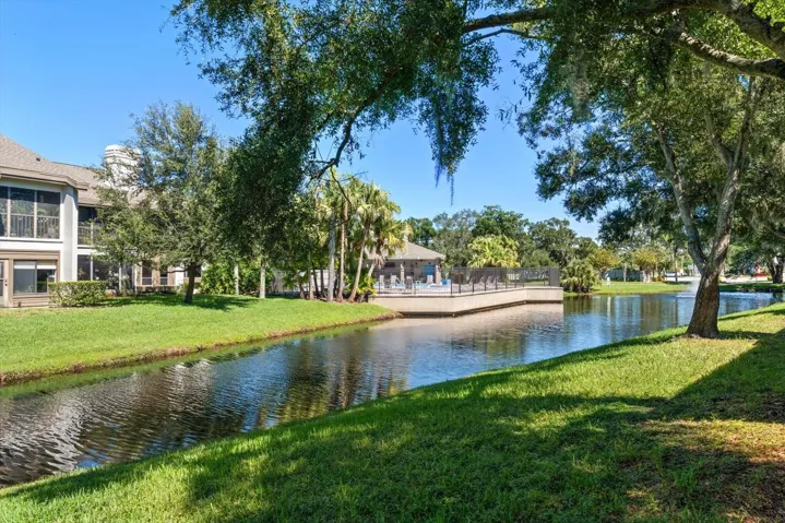 Pond View