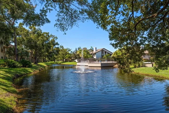 Peaceful Pond