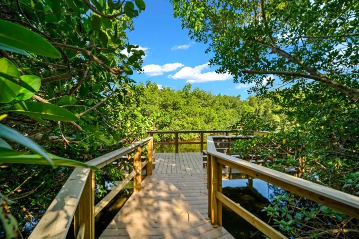 fishing dock