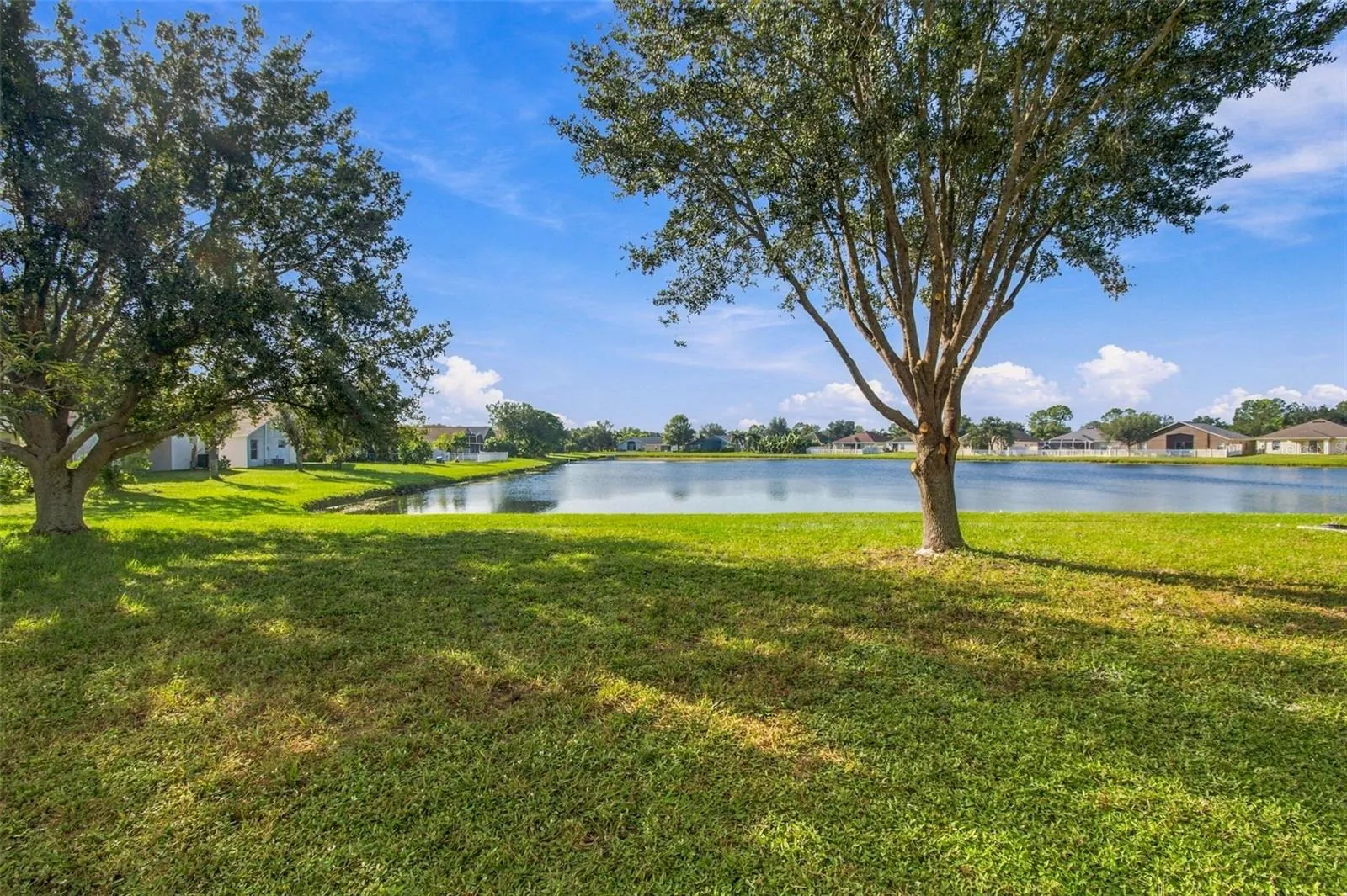 Beatiful Backyard