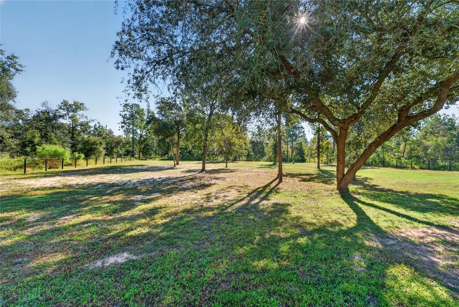 View of backyard