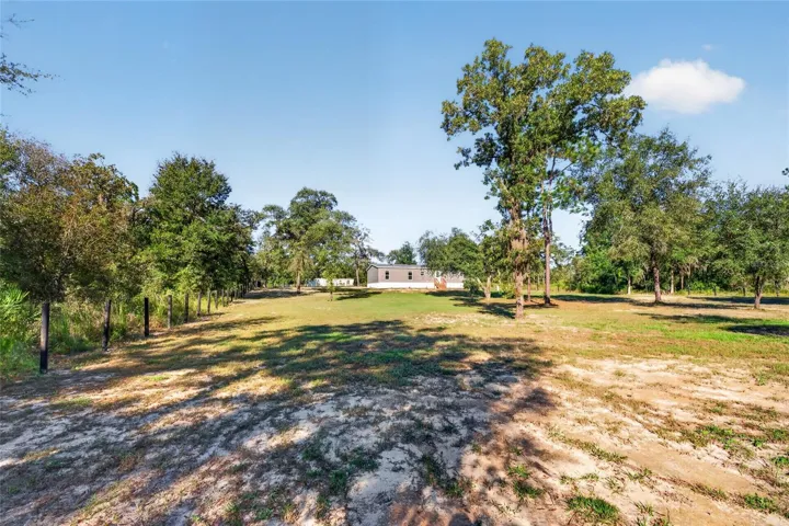View of backyard