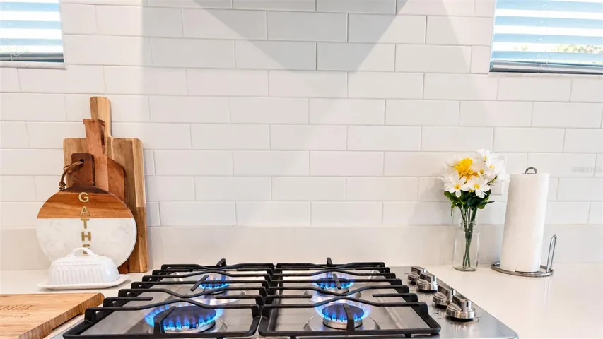Gas Stove