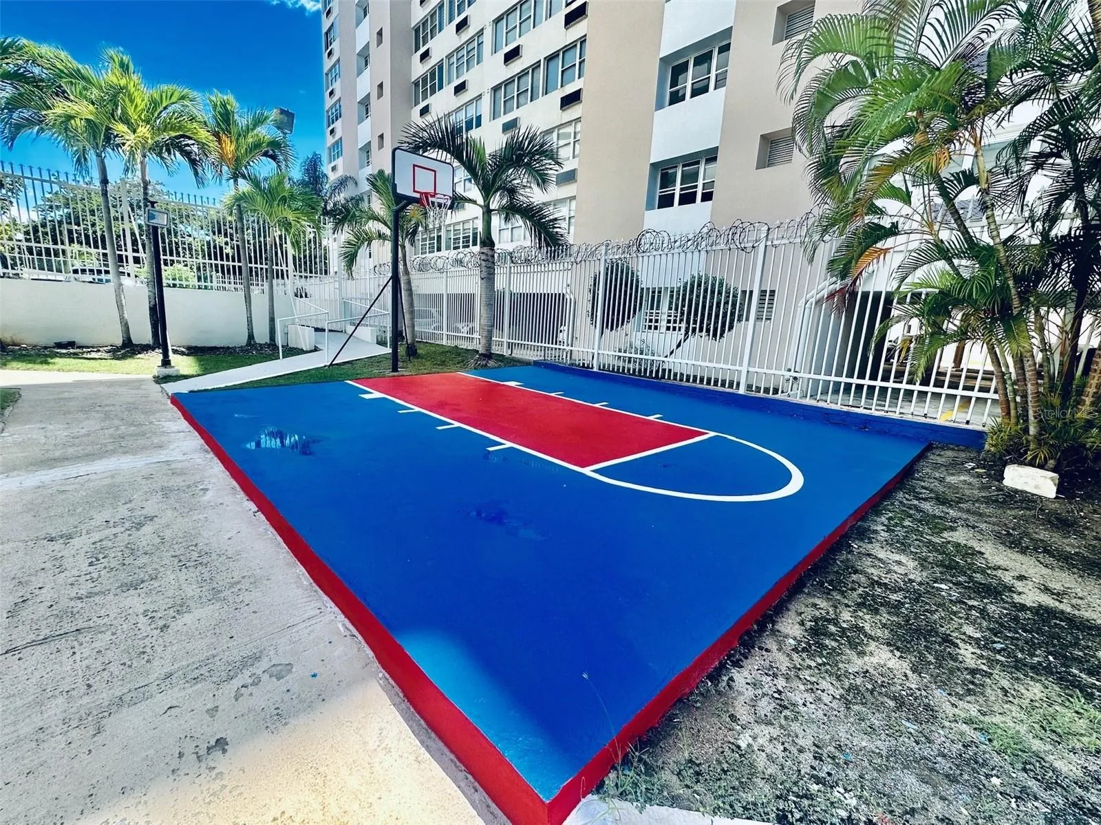 mini basketball
