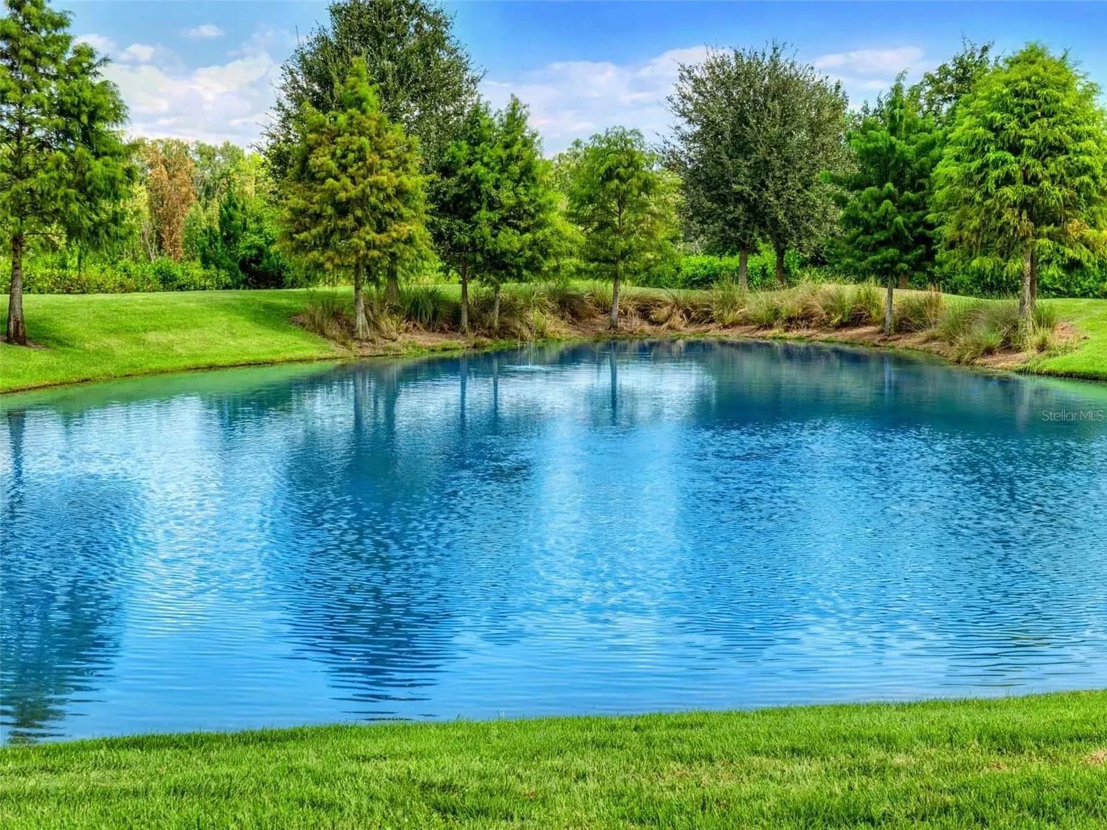 Pond View