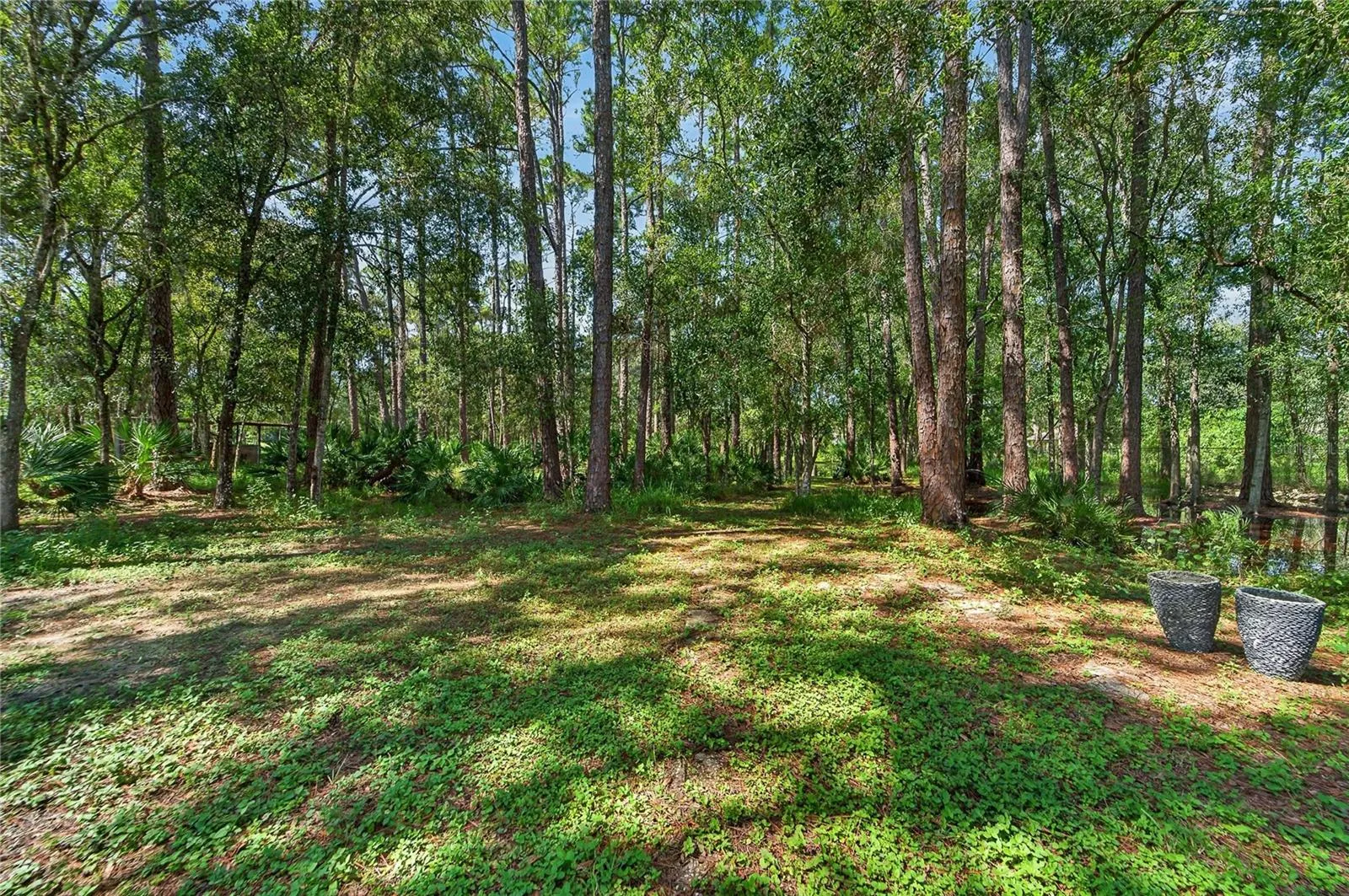 Trails in the wooded lots
