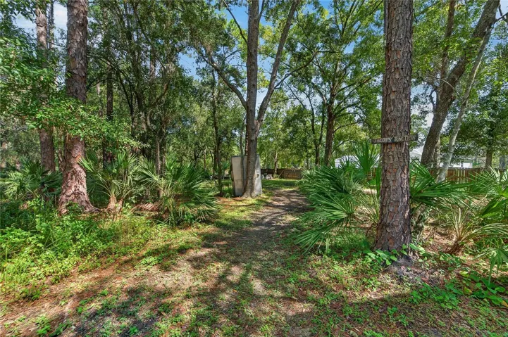 Lots of trails on the wooded lots