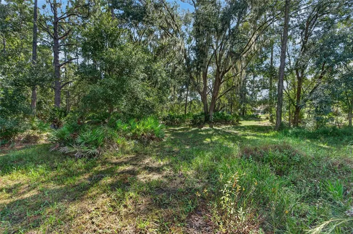 Trails in wooded lots