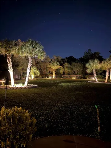Night Landscape