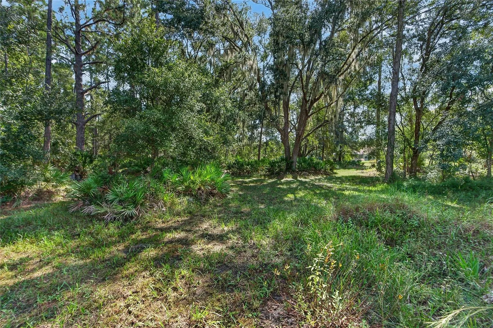 Trails in wooded lots