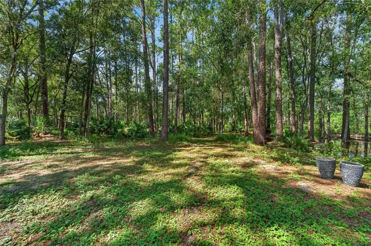 Trails in the wooded lots