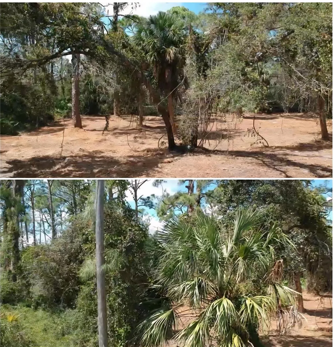 lot was cleared and canopied  2 years ago
